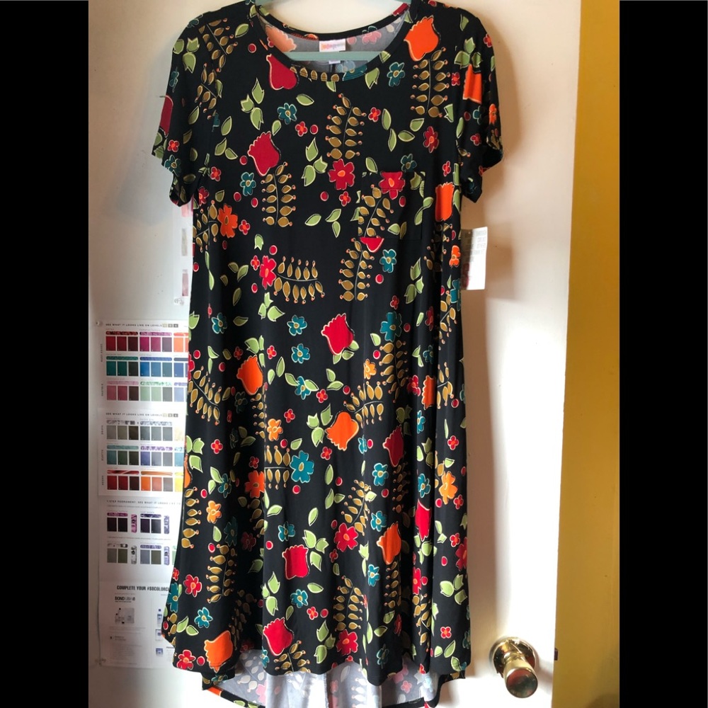 Super pretty Lularoe Carly